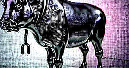 Polymarket Pins Oil Shock at 2.5% — Why That Probability Is a Trap