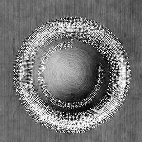 Nine Dimensions of N/A: Anatomy of a Crypto Report That Refused to Lie Nine Dimensions of N/A: Anatomy of a Crypto Report That Refused to Lie
