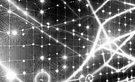 The Death Cross Paradox: Decoding Cardano's Signal in a Liquidity-Driven Market
