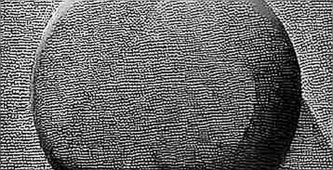 The Smoke Signal: Grayscale’s Altcoin ETF Withdrawal Is Not What You Think The Smoke Signal: Grayscale’s Altcoin ETF Withdrawal Is Not What You Think