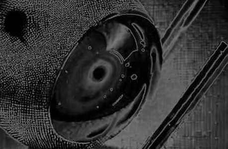 The Noise Signal: Deconstructing the Fed’s Phantom Communication Shift Through a Crypto Lens