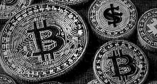 Nvidia's Earnings: The Stress Test Crypto Markets Are Watching Closely