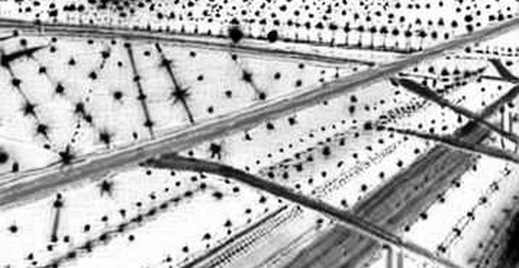 The Empty Report: Why Information Deficiency Is the Real Market Signal The Empty Report: Why Information Deficiency Is the Real Market Signal