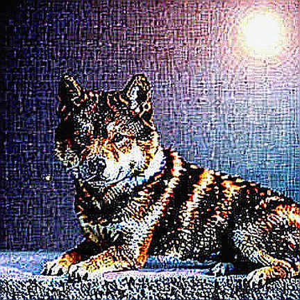 The Macro Reckoning: How July's Retail Sales Miss Reshapes the Crypto Landscape The Macro Reckoning: How July's Retail Sales Miss Reshapes the Crypto Landscape
