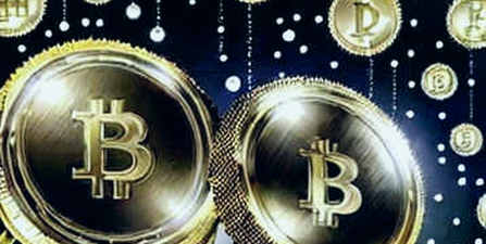 ADA's 6% Plunge: Dissecting the Divergence Between Price Action and On-Chain Reality