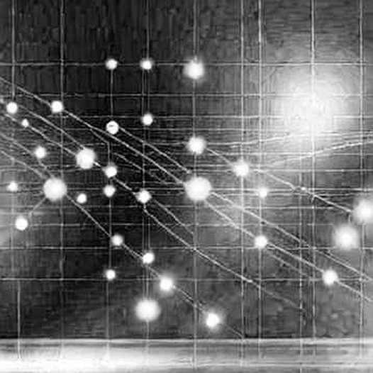 The Null Report: Why Crypto's Empty Data Sets Are the Loudest Signal in This Bear Market The Null Report: Why Crypto's Empty Data Sets Are the Loudest Signal in This Bear Market